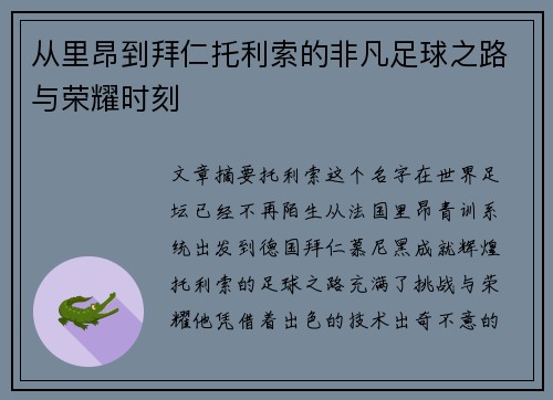 从里昂到拜仁托利索的非凡足球之路与荣耀时刻
