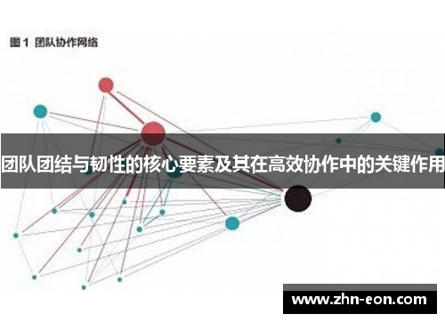 团队团结与韧性的核心要素及其在高效协作中的关键作用