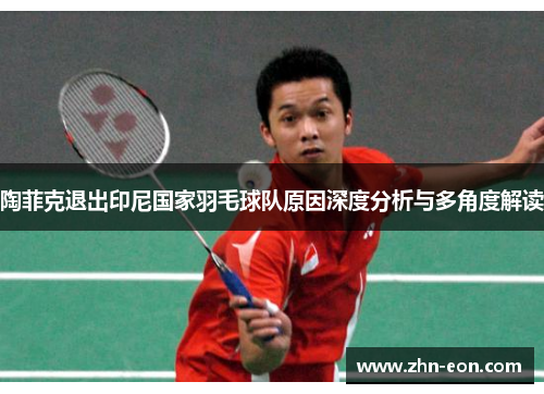 陶菲克退出印尼国家羽毛球队原因深度分析与多角度解读