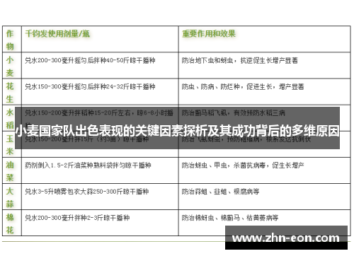 小麦国家队出色表现的关键因素探析及其成功背后的多维原因